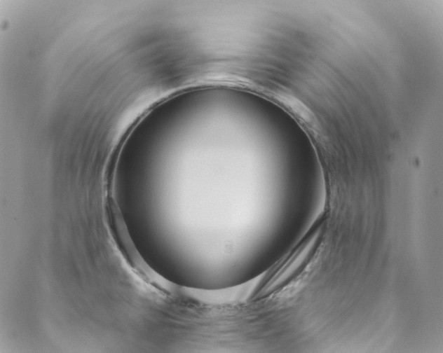 X0000089431430200706291303