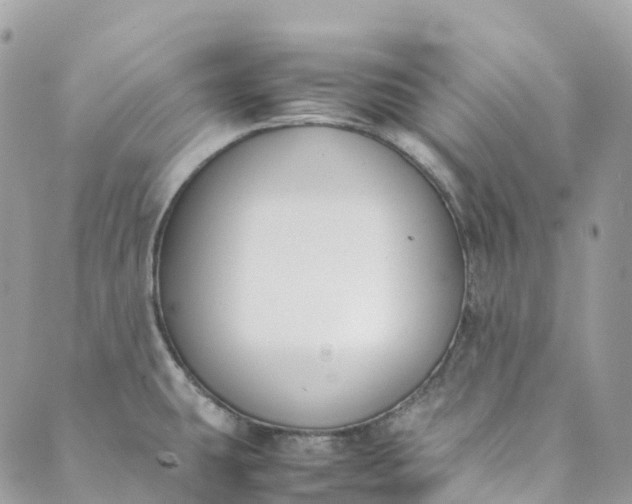 X0000089431431200706291303