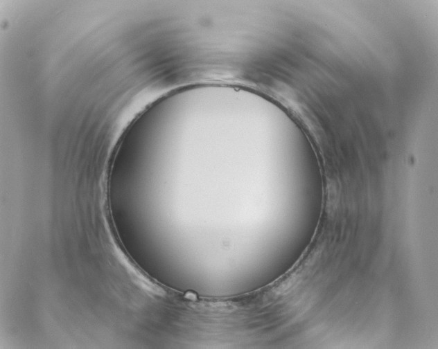 X0000089431432200706291303