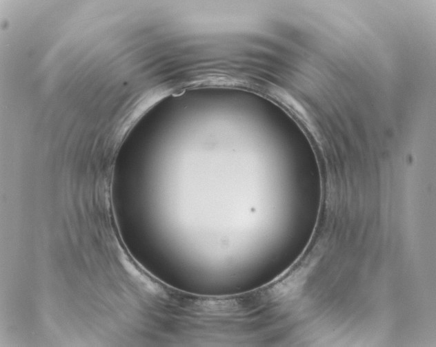 X0000089431433200706291303