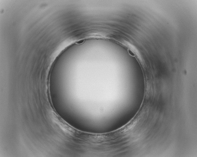 X0000089431435200706291303