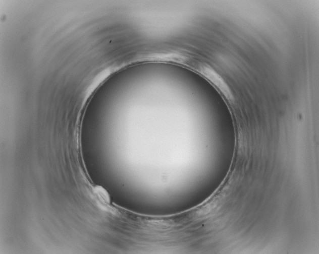 X0000089431436200706291303