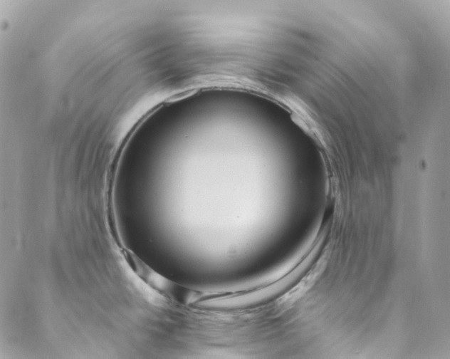 X0000089431438200706291303