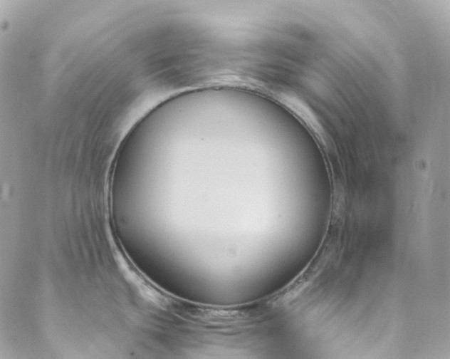 X0000089431439200706291303