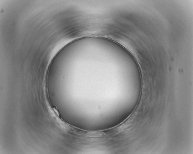 X0000089431440200706291303