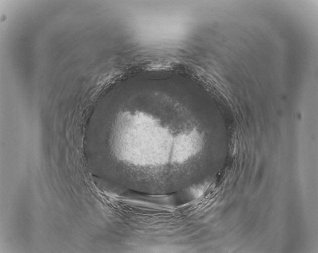 X0000089431441200706291302