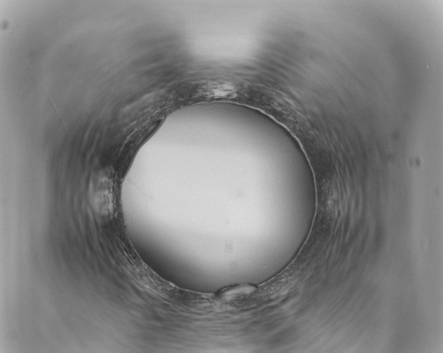 X0000089431442200706291302