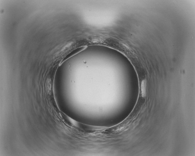 X0000089431443200706291302