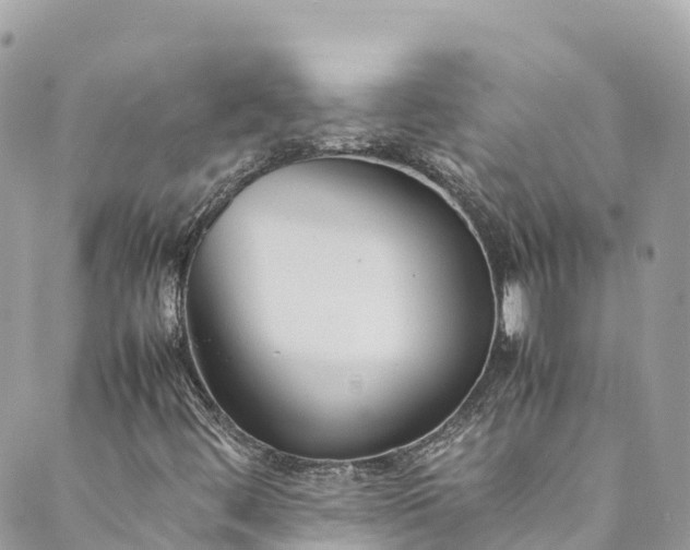 X0000089431444200706291302