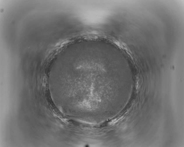 X0000089431445200706291302