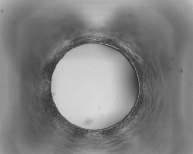 X0000089431447200706291302