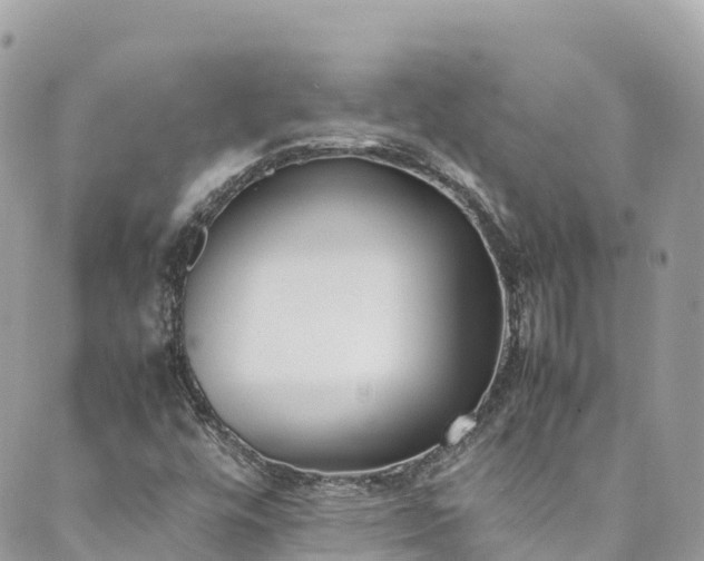 X0000089431448200706291302