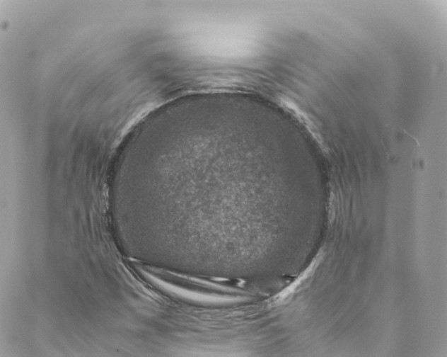 X0000089431449200706291302