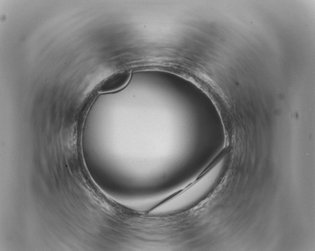 X0000089431450200706291302