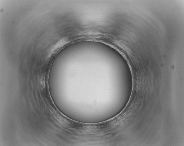 X0000089431451200706291302