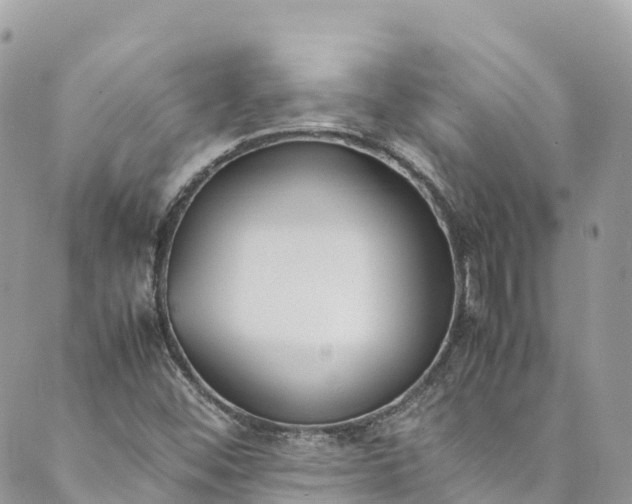 X0000089431452200706291302