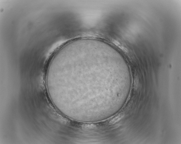 X0000089431454200706291302