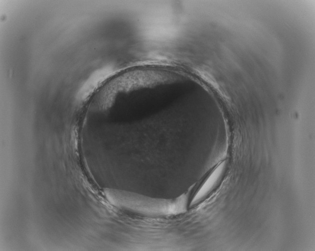 X0000089431455200706291302