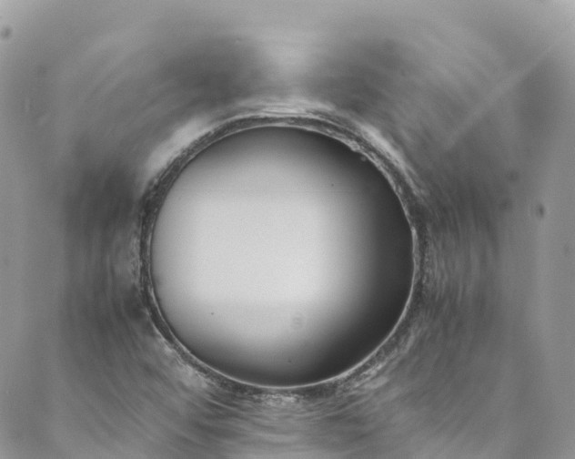 X0000089431456200706291302