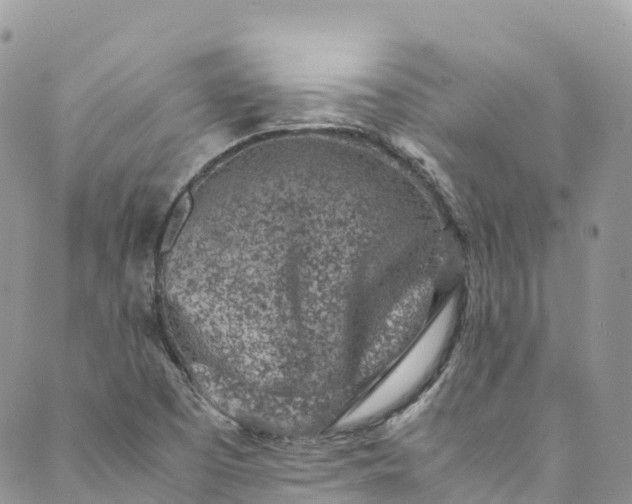 X0000089431457200706291302