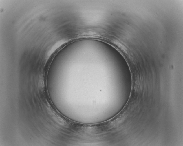 X0000089431458200706291302