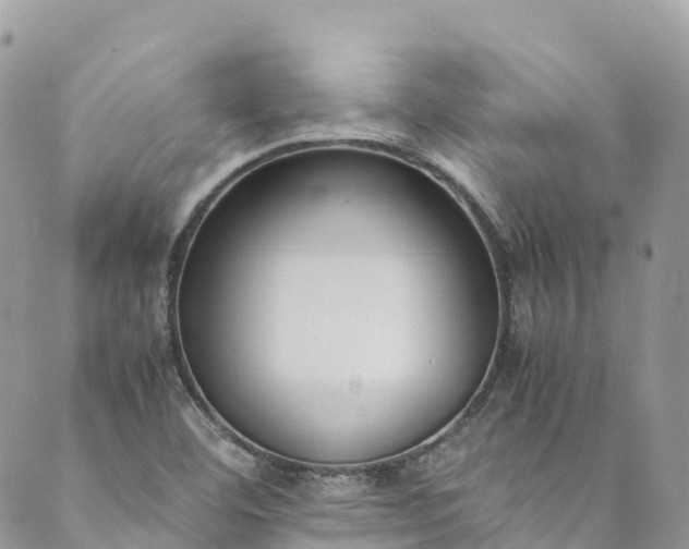 X0000089431460200706291302