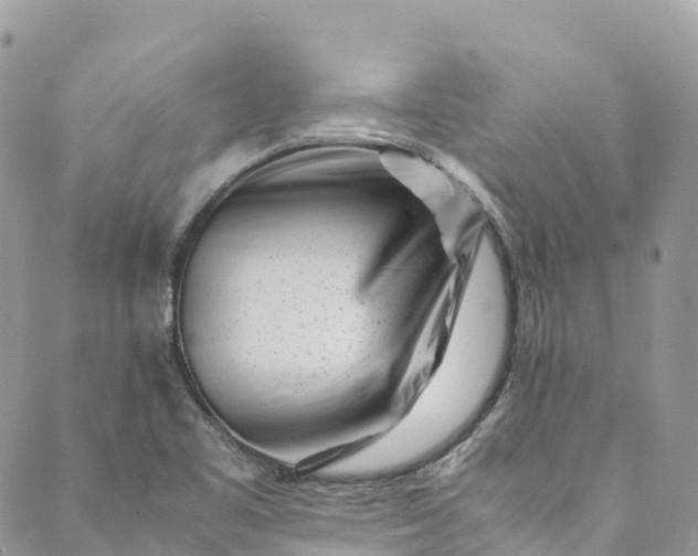 X0000089431461200706291302