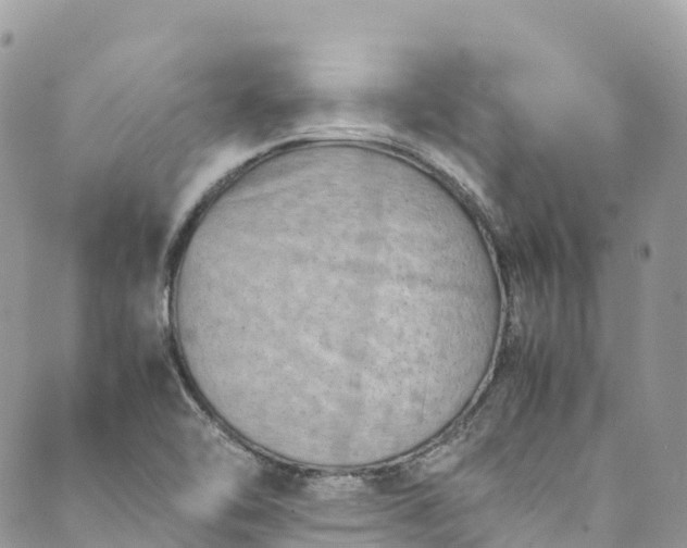 X0000089431462200706291302