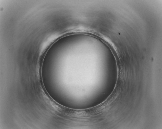 X0000089431464200706291302