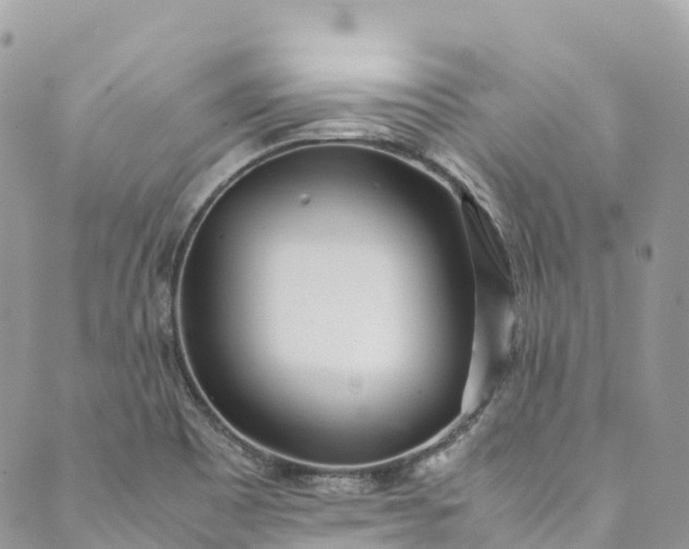 X0000089431465200706291302