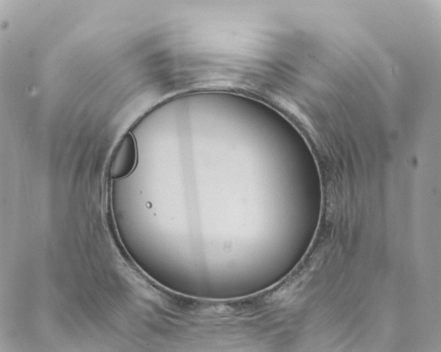 X0000089431467200706291302