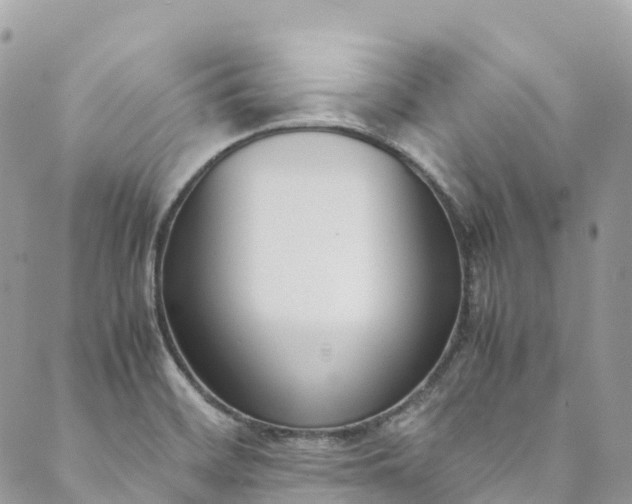 X0000089431468200706291302