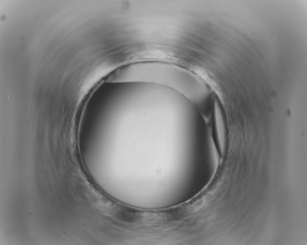 X0000089431469200706291302