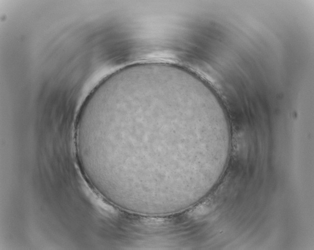 X0000089431470200706291302