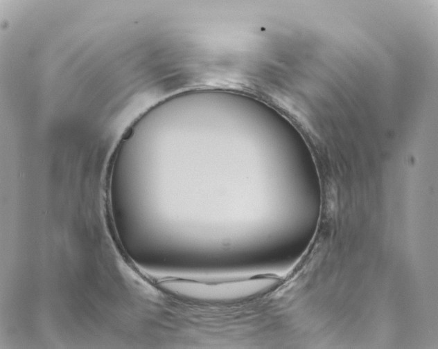 X0000089431471200706291302