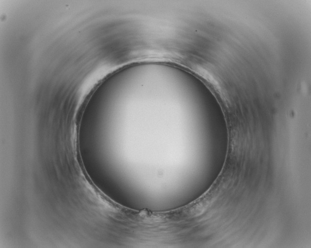 X0000089431472200706291302