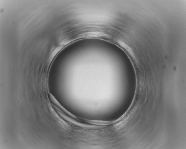 X0000089431473200706291302