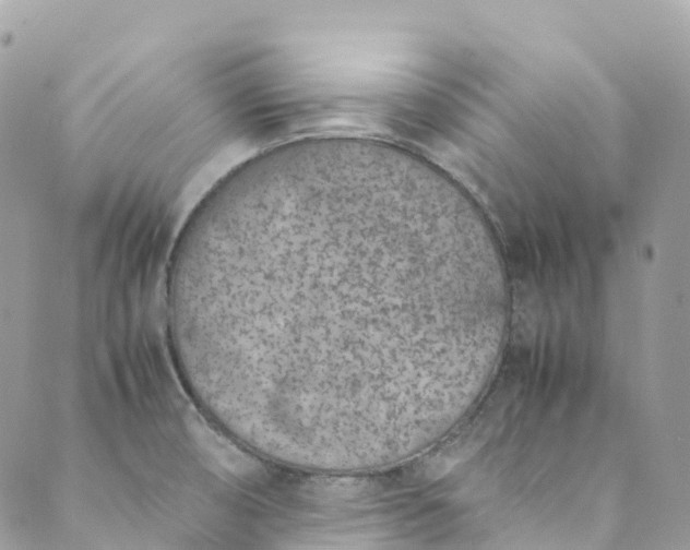 X0000089431474200706291302