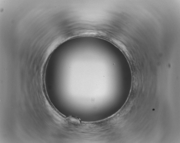 X0000089431475200706291302