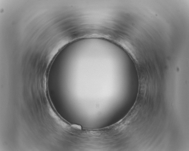 X0000089431476200706291302