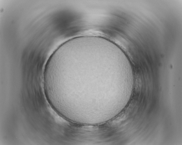 X0000089431478200706291302