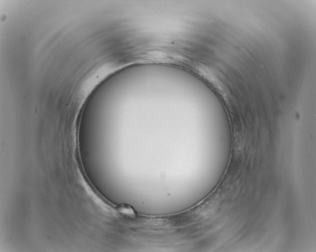 X0000089431479200706291302