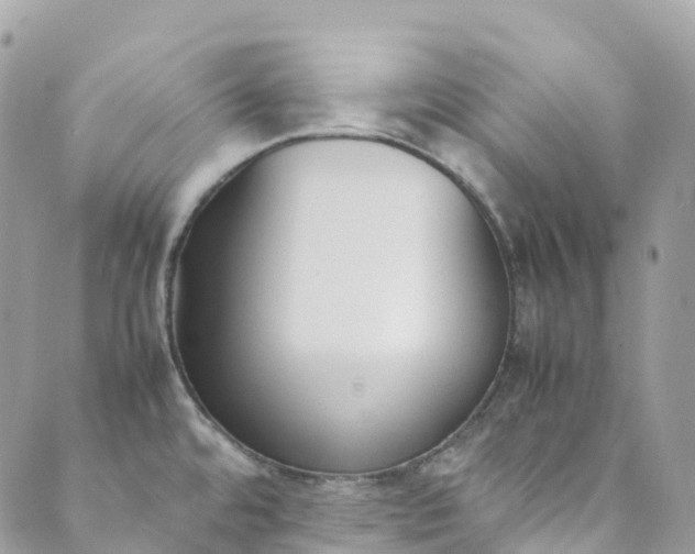 X0000089431480200706291302