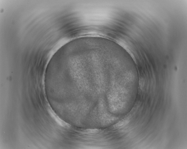 X0000089431482200706291302