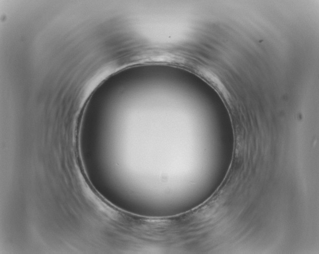 X0000089431483200706291302