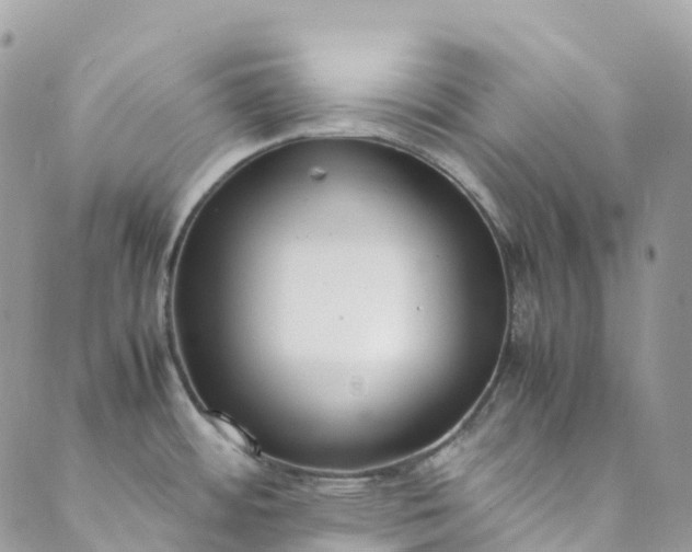 X0000089431484200706291302