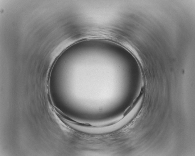 X0000089431485200706291302