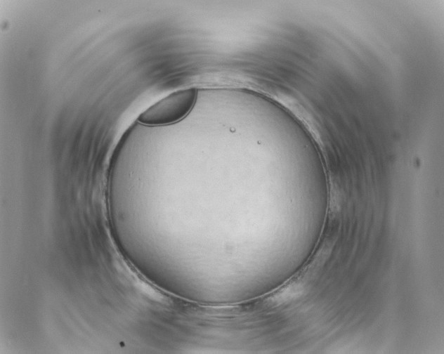 X0000089431486200706291302