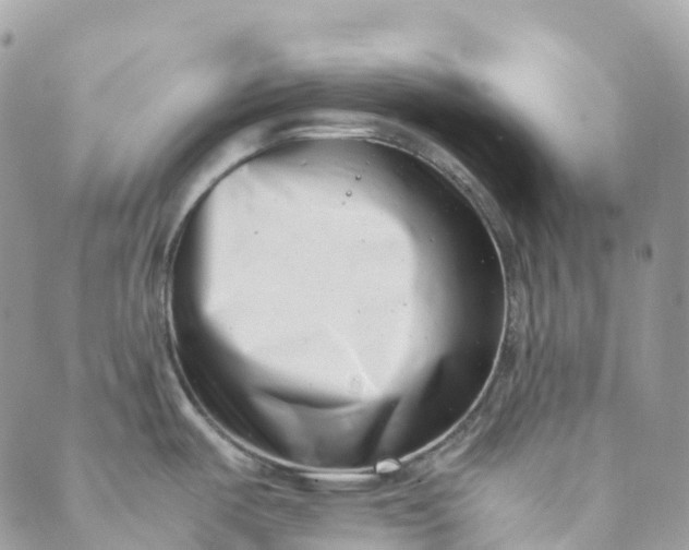 X0000089431487200706291302