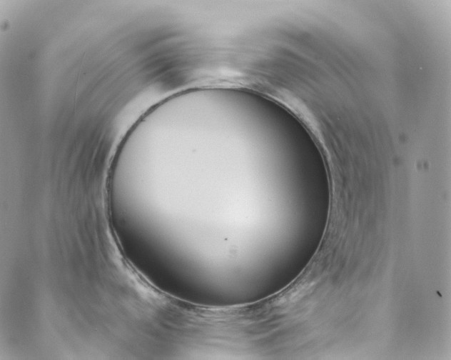 X0000089431488200706291302